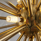 Round Clear Murano Style Glass Flower Plate Chandelier Sphere Floral Disc Pendant Light